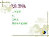 北师大版生物七年级下册 人体产生的代谢废物（课件）