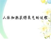 北师大版生物七年级下册 第10章 第2节 人体细胞获得氧气的过程 （第2课时）（课件）