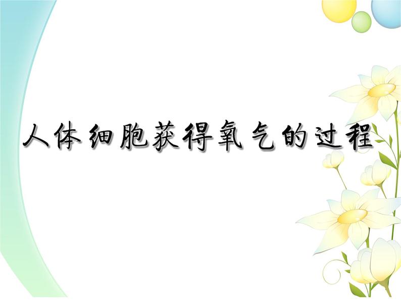 北师大版生物七年级下册 第10章 第2节 人体细胞获得氧气的过程 （第2课时）（课件）第1页