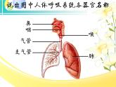 北师大版生物七年级下册 第10章 第2节 人体细胞获得氧气的过程 （第2课时）（课件）