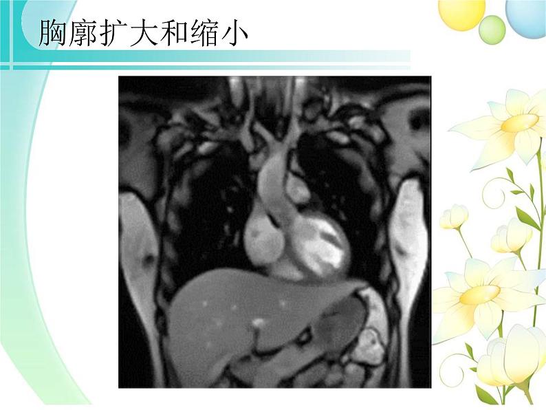 北师大版生物七年级下册 第10章 第2节 人体细胞获得氧气的过程 （第2课时）（课件）第7页