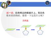 北师大版生物七年级下册 第11章 第1节 人体产生的代谢废物(1)（课件）