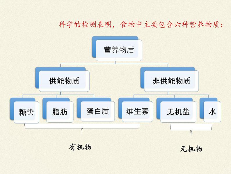 北师大版生物七年级下册 第8章 第1节 人类的食物(6)（课件）06