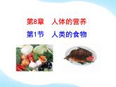 北师大版生物七年级下册 第8章 第1节 人类的食物（课件）