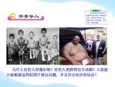 北师大版生物七年级下册 第8章 第1节 人类的食物（课件）