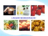 北师大版生物七年级下册 第8章 第1节 人类的食物（课件）