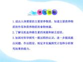 北师大版生物七年级下册 第8章 第1节 人类的食物（课件）