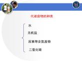 北师大版生物七年级下册 第11章 第1节 人体产生的代谢废物（课件）