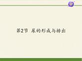 北师大版生物七年级下册 第11章 第2节 尿的形成与排出(1)（课件）