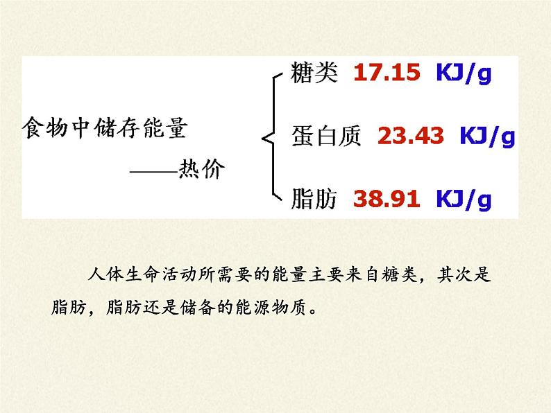 北师大版生物七年级下册 第10章 第1节 食物中能量的释放(8)（课件）第8页