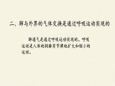 北师大版生物七年级下册 第10章 第2节 人体细胞获得氧气的过程(2)（课件）