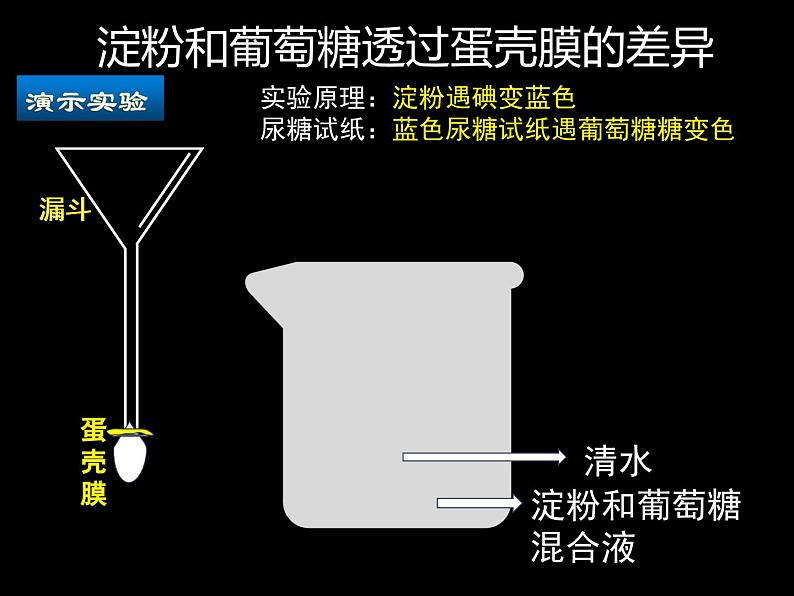 北师大版生物七年级下册 第八章 第二节 食物的消化和营养物质的吸收（第一课时）（课件）第5页