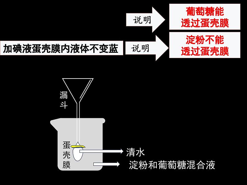 北师大版生物七年级下册 第八章 第二节 食物的消化和营养物质的吸收（第一课时）（课件）第6页