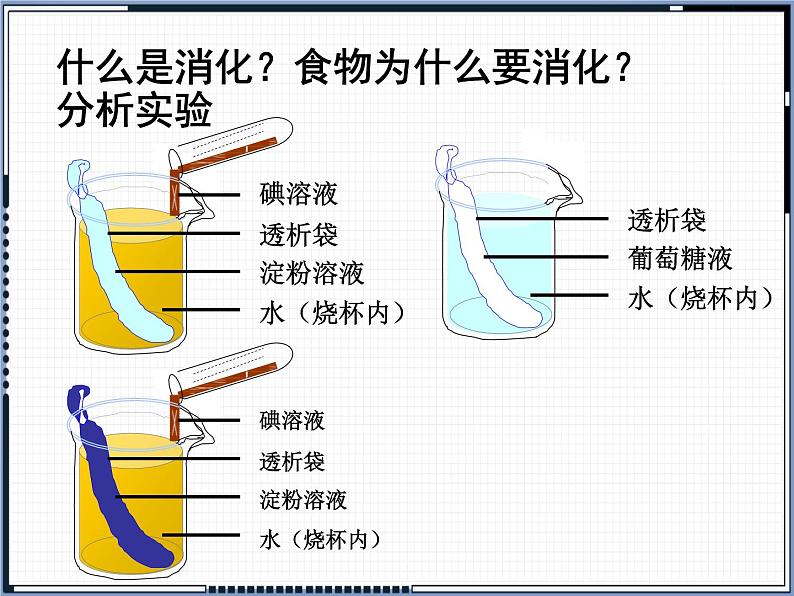 第8章 第2节 食物的消化和营养物质的吸收 课件第5页