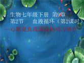 北师大版生物七年级下册 心脏是血液流动的动力器官（课件）