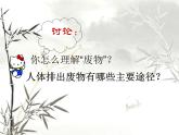北师大版生物七年级下册 人体产生的代谢废物(1)（课件）