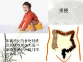 北师大版生物七年级下册 人体产生的代谢废物(1)（课件）