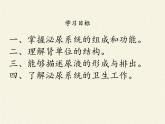 北师大版生物七年级下册 第11章 第2节 尿的形成与排出(5)（课件）