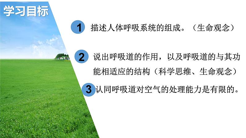 4.3.1呼吸道对空气的处理课件2023-2024学年人教版生物七年级下册第3页