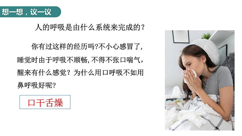 4.3.1呼吸道对空气的处理课件2023-2024学年人教版生物七年级下册第4页