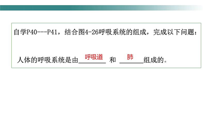 4.3.1呼吸道对空气的处理课件2023-2024学年人教版生物七年级下册第5页