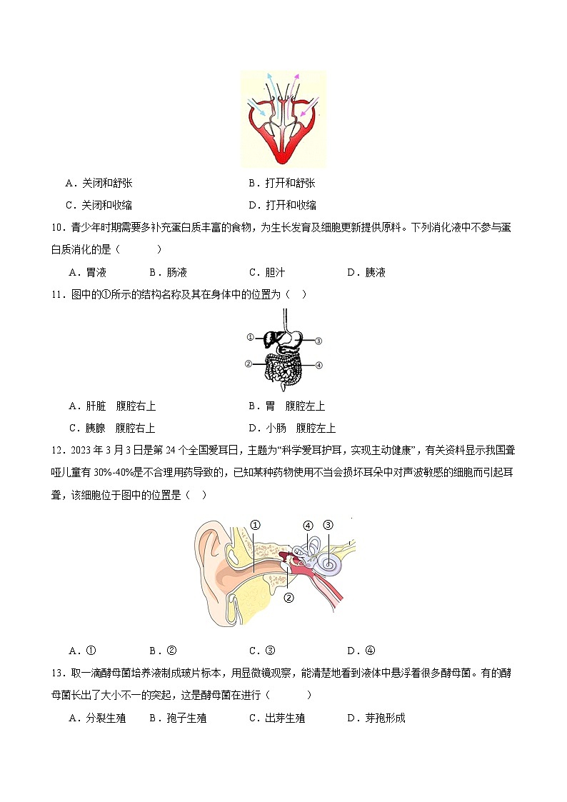 2024年中考第一次模拟考试题：生物（北京卷）（学生用）03