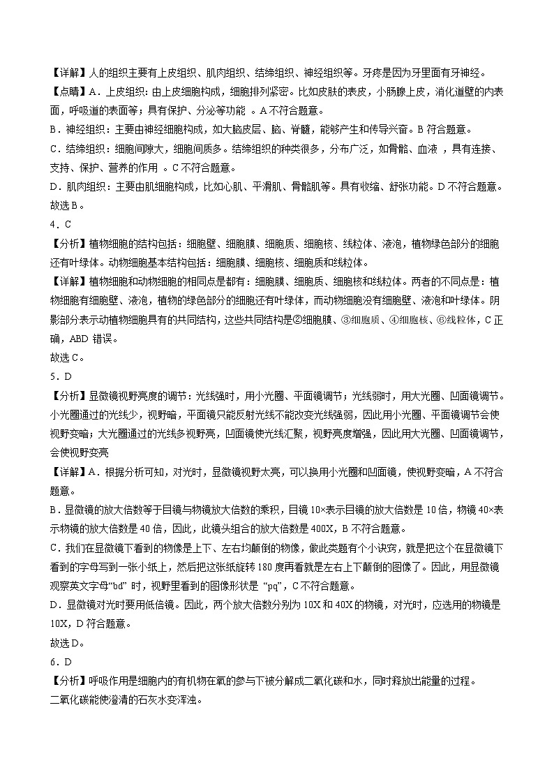 2024年中考第一次模拟考试题：生物（广州卷）（教师用）02