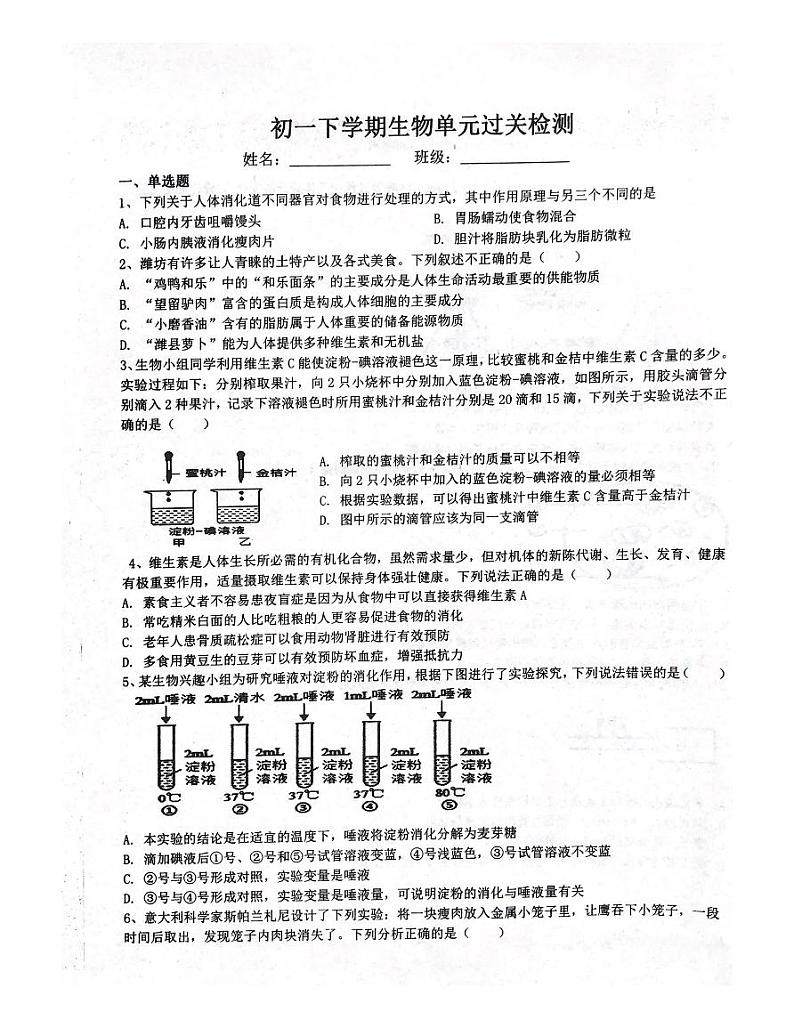 山东省潍坊市峡山双语学校2023-2024学年七年级下学期3月月考生物试题第1页