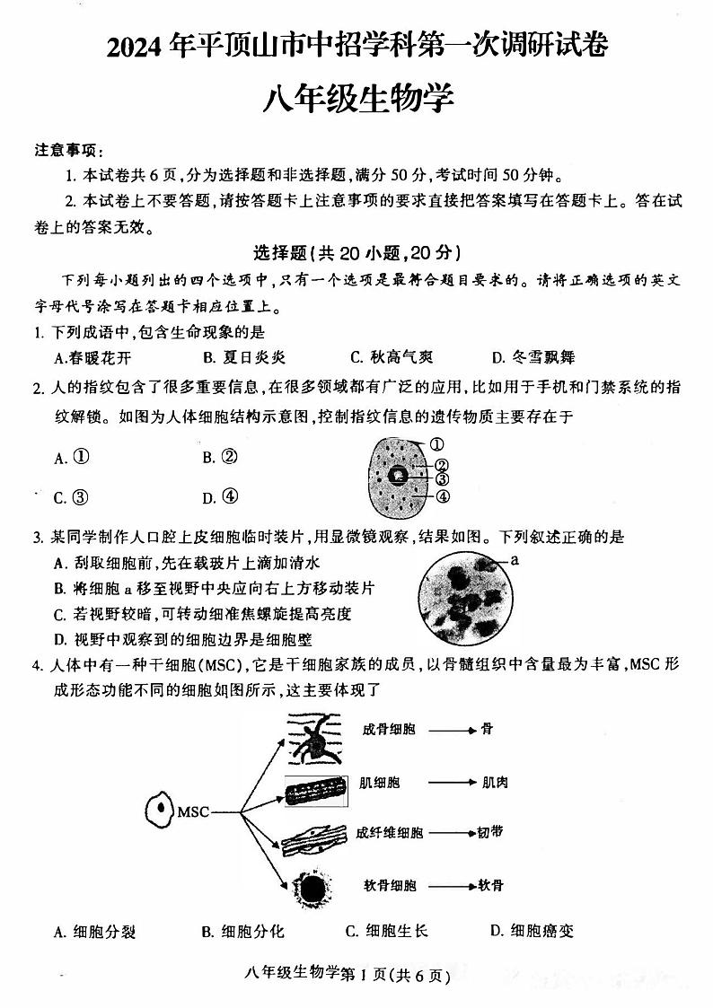 2024年河南省平顶山市九年级中招一模生物试卷及参考答案01