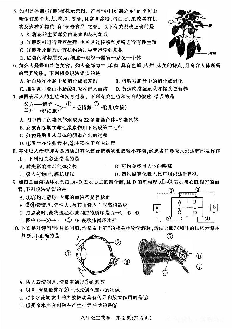 2024年河南省平顶山市九年级中招一模生物试卷及参考答案02