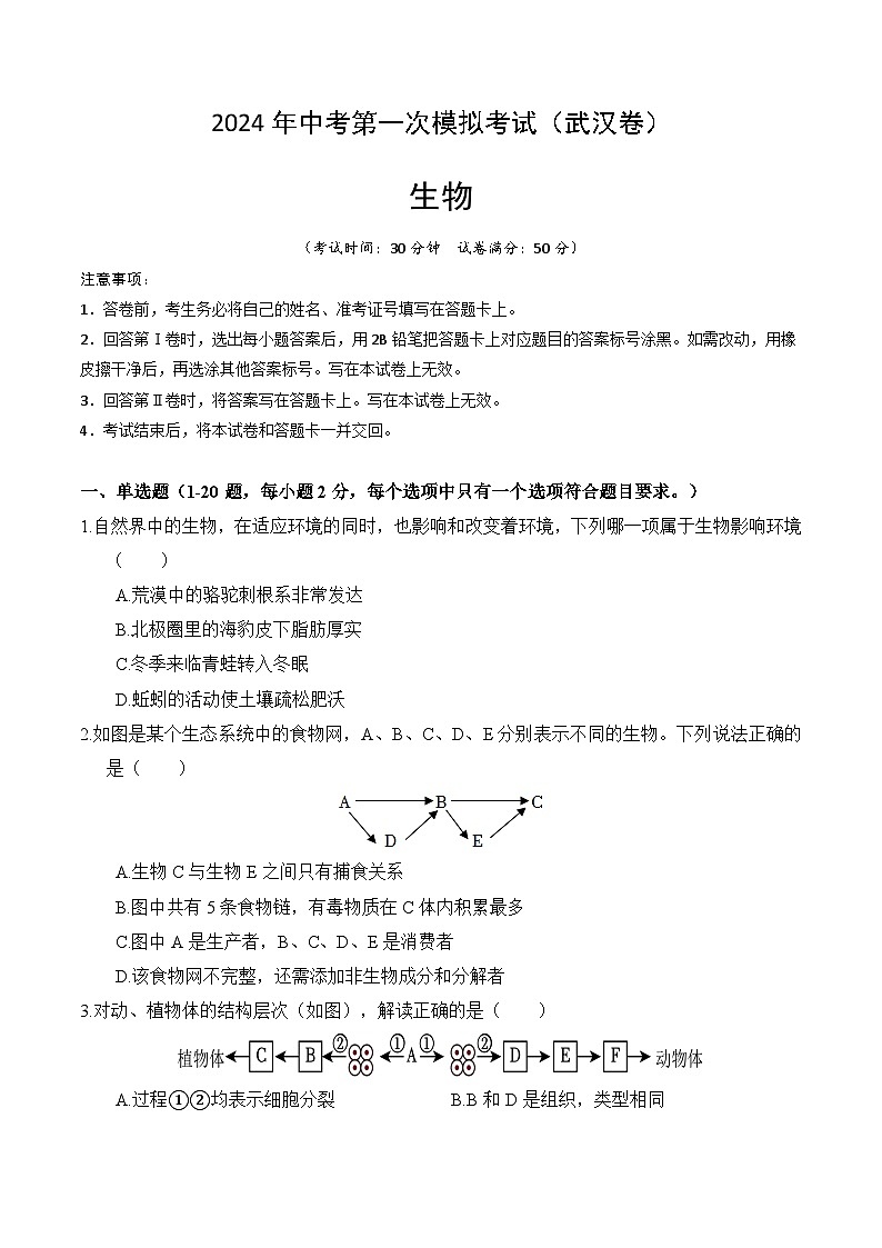 2024年中考第一次模拟考试题：生物（武汉卷）（学生用）01