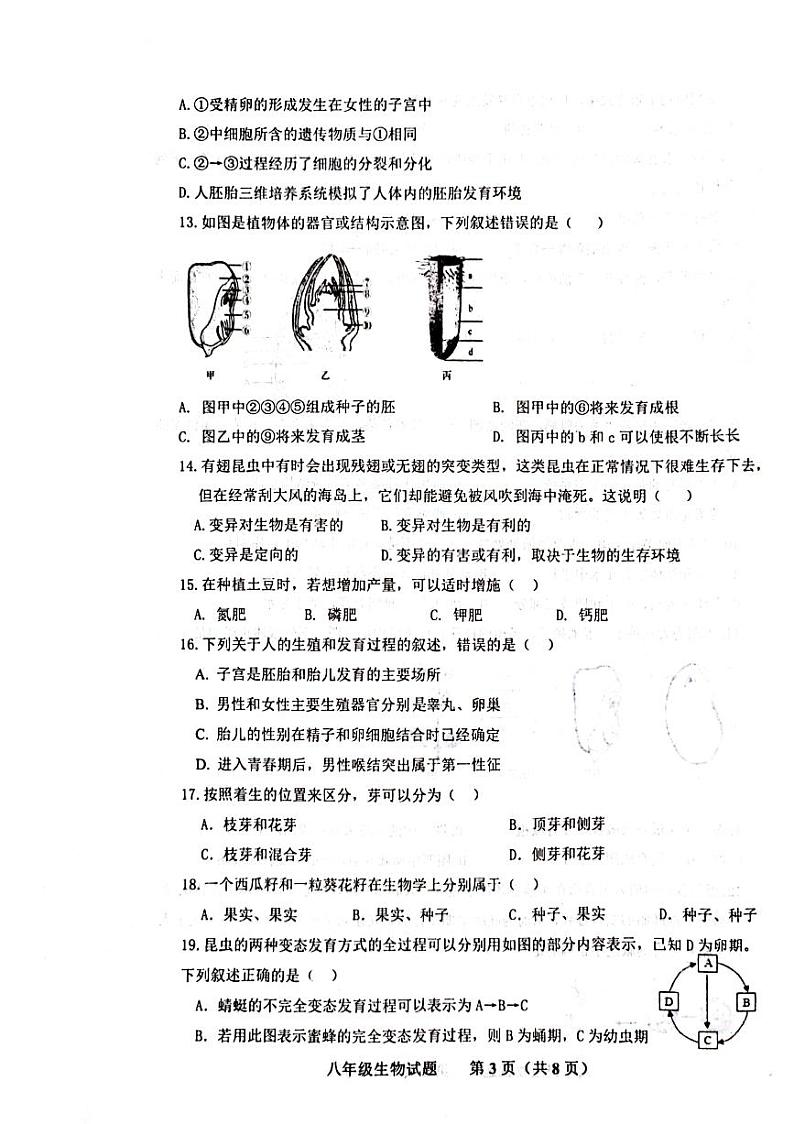 山东省济南市商河县2023-2024学年八年级上学期期末考试生物试题03