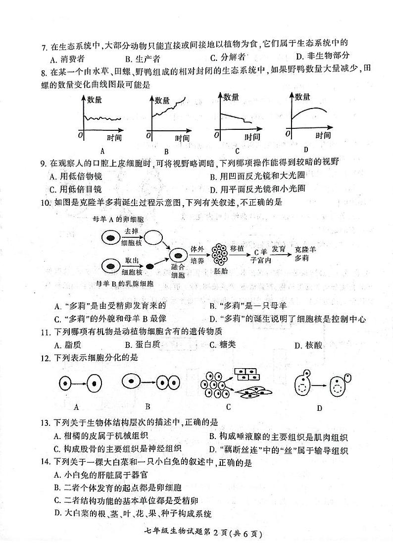 湖南省郴州市2023-2024学年七年级上学期期末生物学试题02