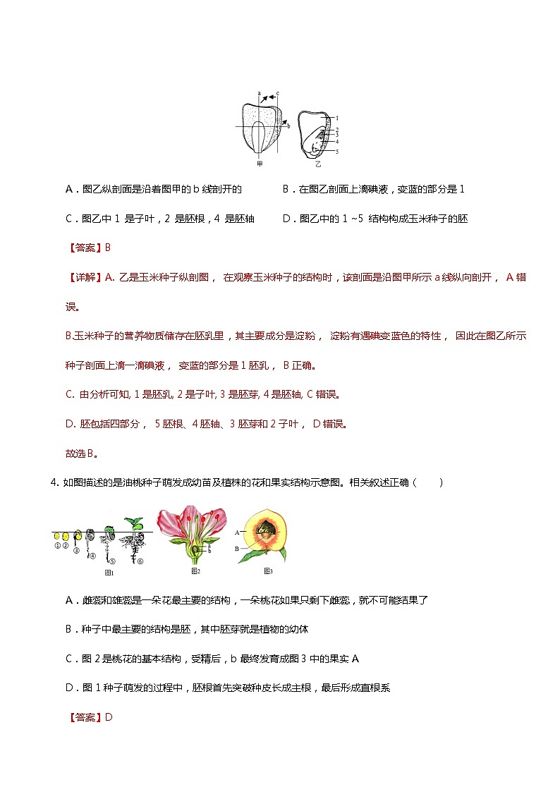 2024年中考第一次模拟考试题：生物（吉林卷）（教师用）第2页