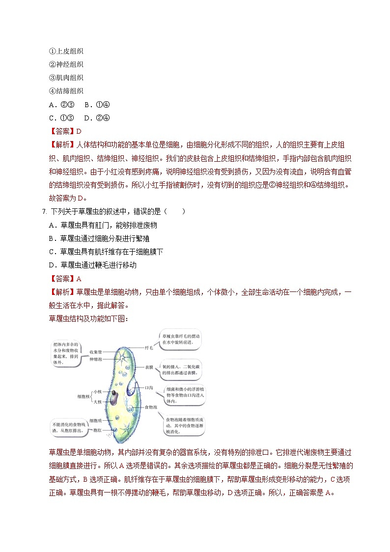 2024年中考第一次模拟考试题：生物（江西卷）（教师用）第3页