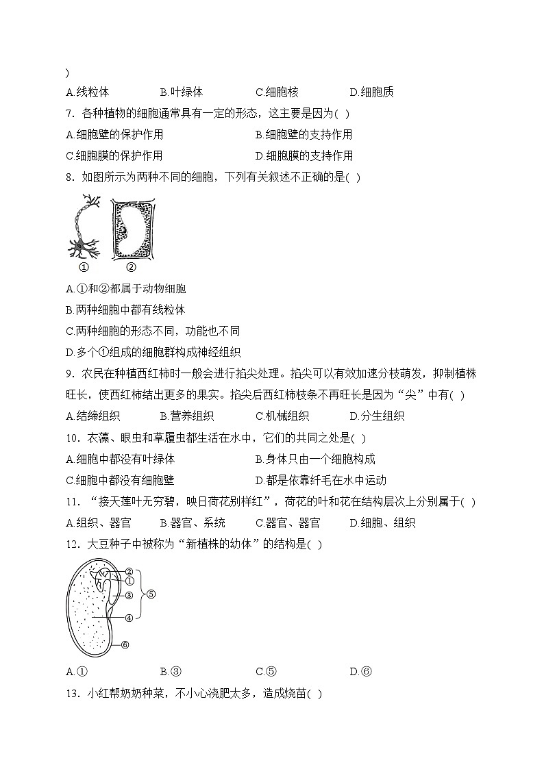 甘肃省酒泉市敦煌市2023-2024学年七年级上学期期末考试生物试卷(含答案)02