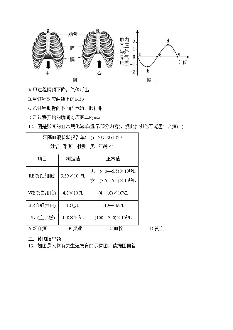 山西省吕梁市交城县2022-2023学年七年级下学期期中生物试卷(含答案)03
