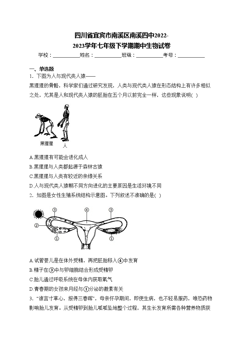 四川省宜宾市南溪区南溪四中2022-2023学年七年级下学期期中生物试卷(含答案)第1页