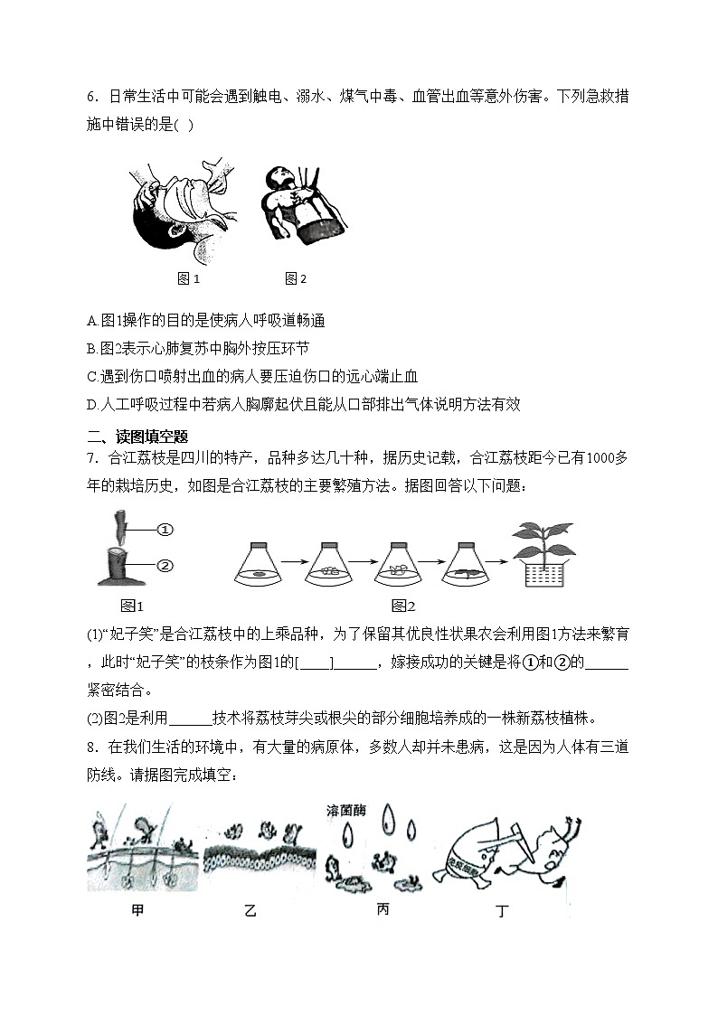 四川省泸州市合江县第五片区2022-2023学年八年级下学期第二次月考生物试卷(含答案)第2页