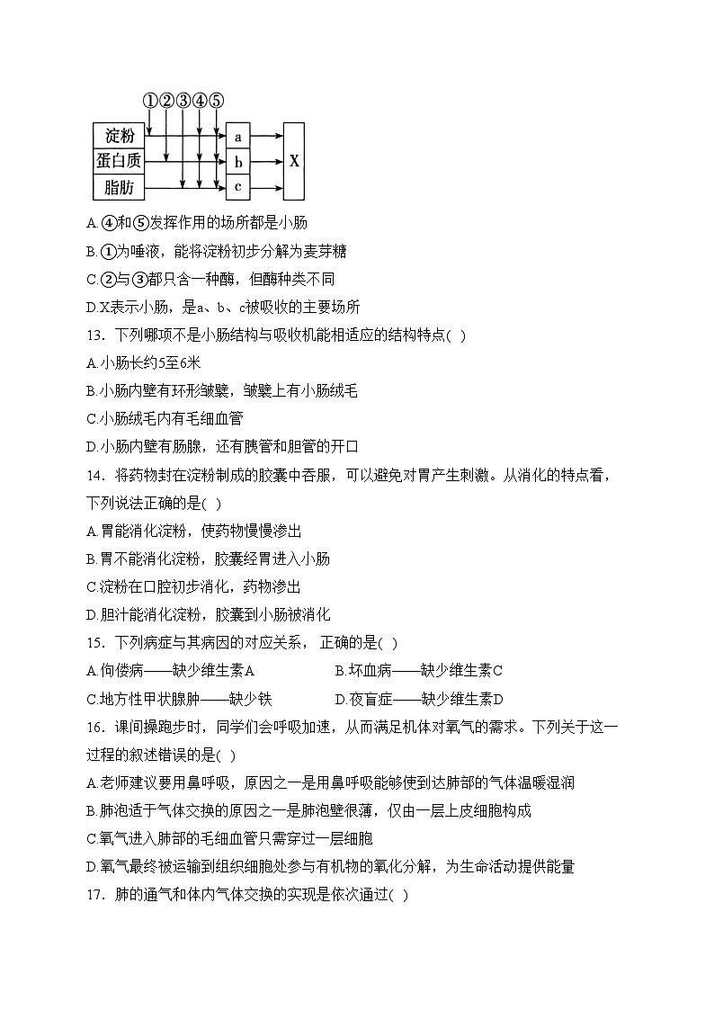 四川省绵阳市绵阳南山中学双语学校2022-2023学年七年级下学期期中生物试卷(含答案)第3页