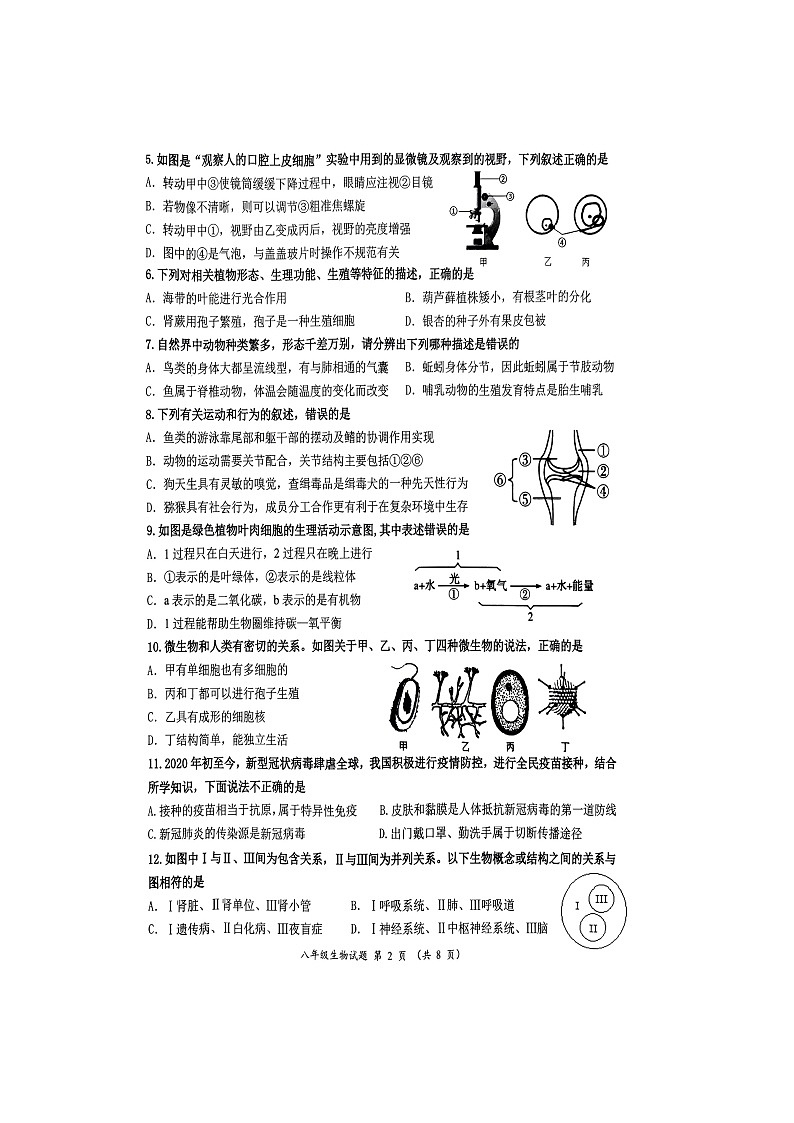 2024年山东省济南市槐荫区中考第一次模拟考试生物试题（扫描版无答案）02