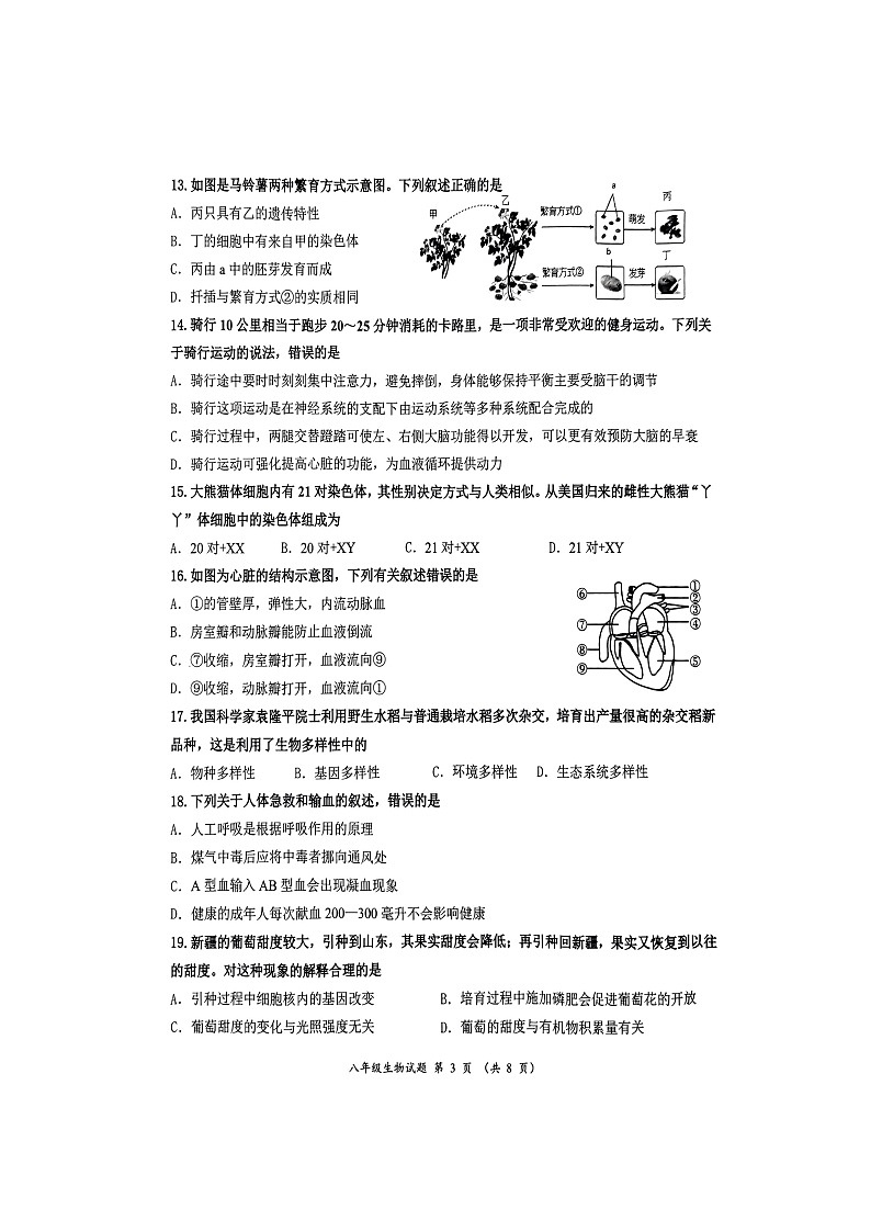 2024年山东省济南市槐荫区中考第一次模拟考试生物试题（扫描版无答案）03
