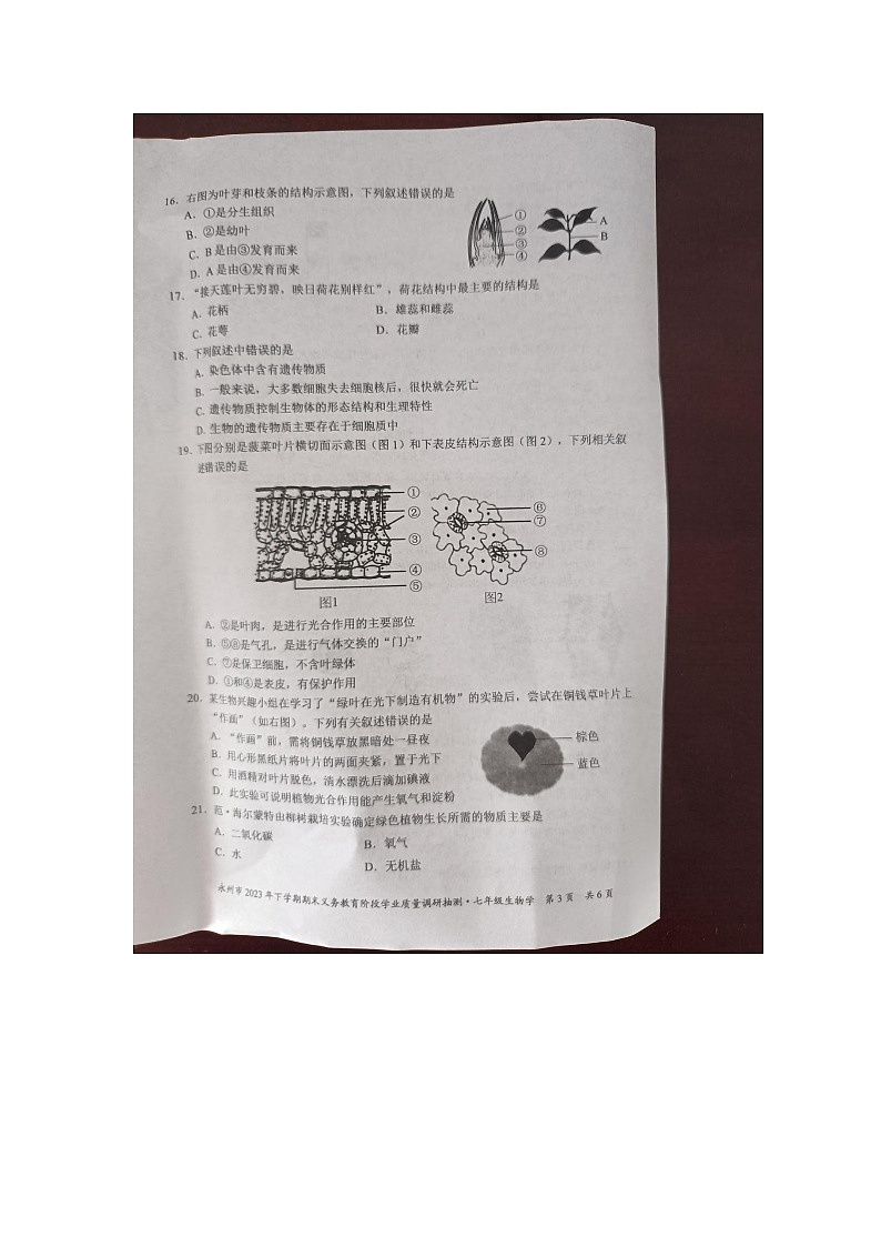 湖南省永州市2023-2024学年七年级上学期期末生物学试题03