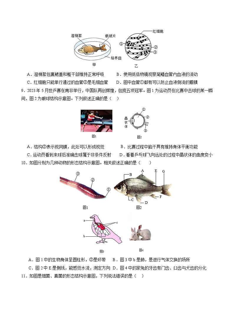 生物（盐城卷）（考试版A4）第3页