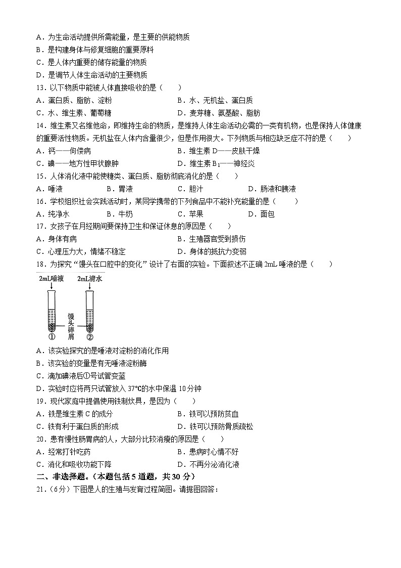 河南省周口市淮阳区四校联考2023-2024学年七年级下学期3月月考生物试题02