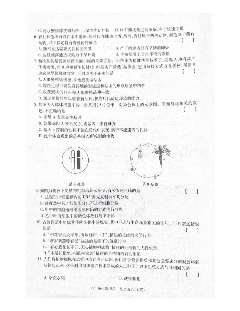 河南省商丘市夏邑县二校联考2023-2024学年八年级下学期3月月考生物试题02