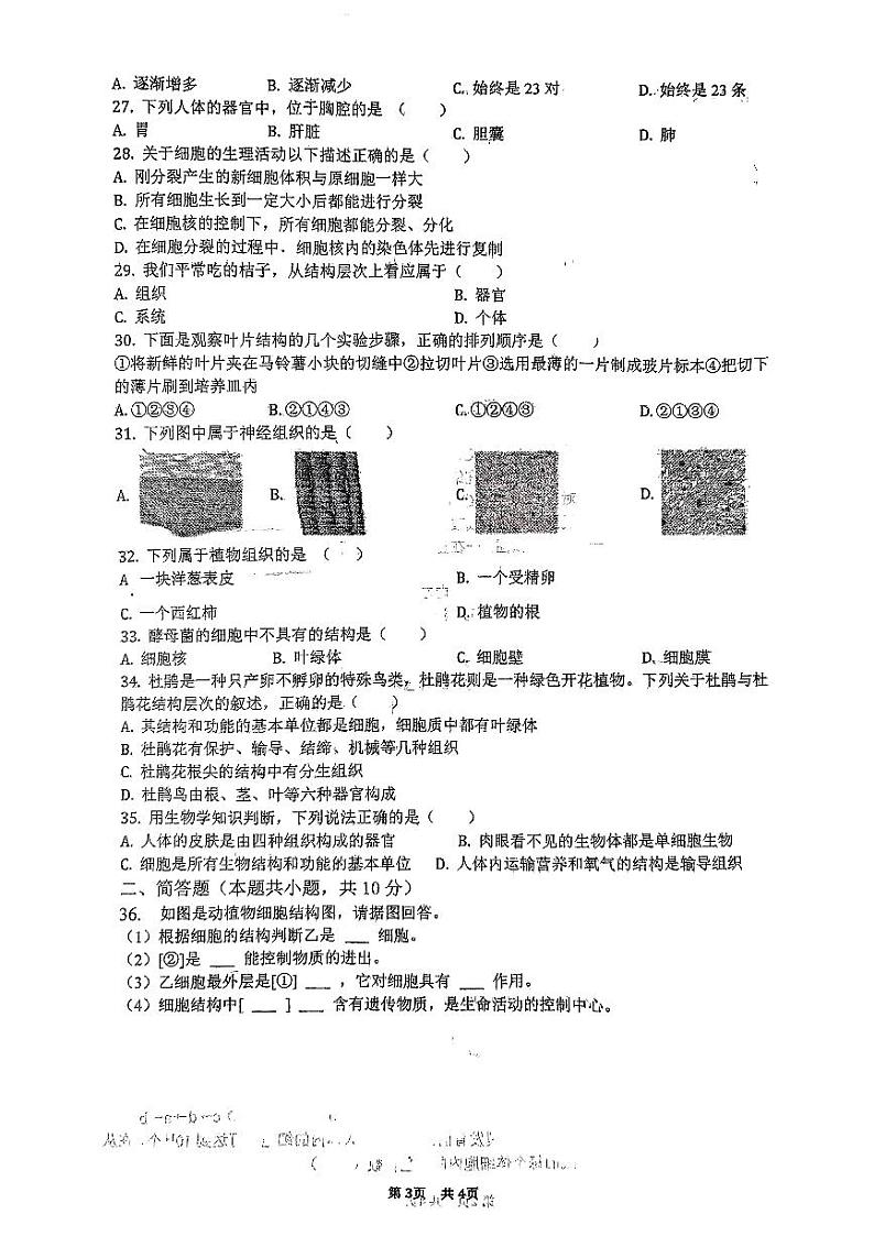 江苏省连云港市东海县2023-2024学年七年级下学期月考生物试题第3页