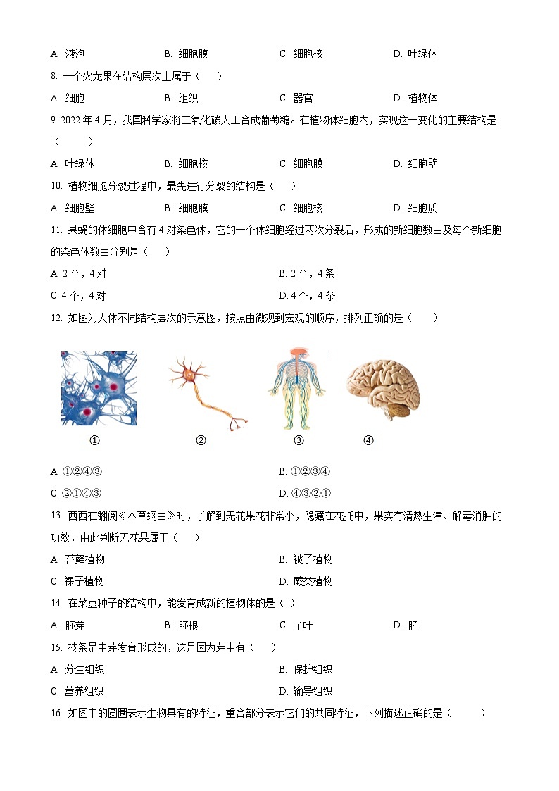 福建省厦门双十中学、厦门五缘实验学校、厦门华侨中学等六校七年级2023-2024学年上学期期末生物试题02