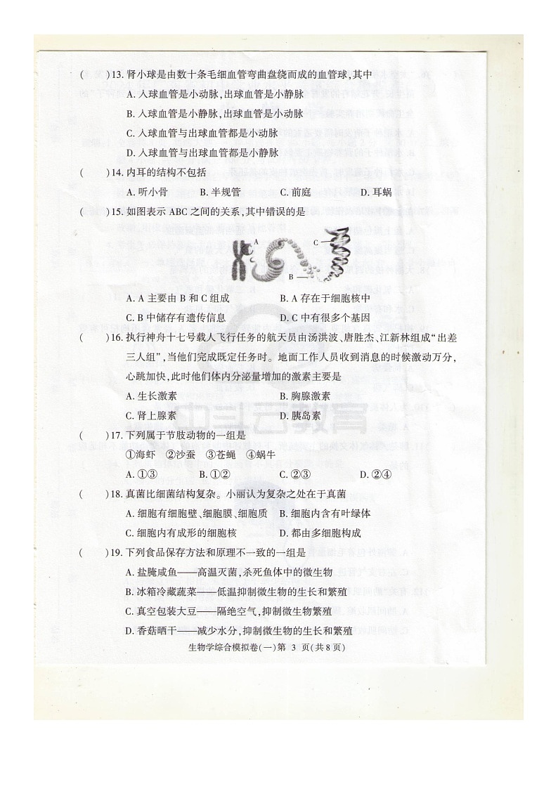 广东省湛江市徐闻县第四中学2023-2024学年八年级下学期4月月考生物试题第3页
