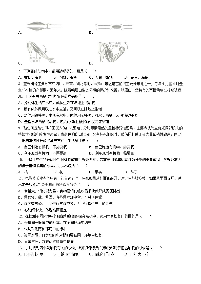 四川省雅安市2023-2024学年八年级上学期期末生物试题02
